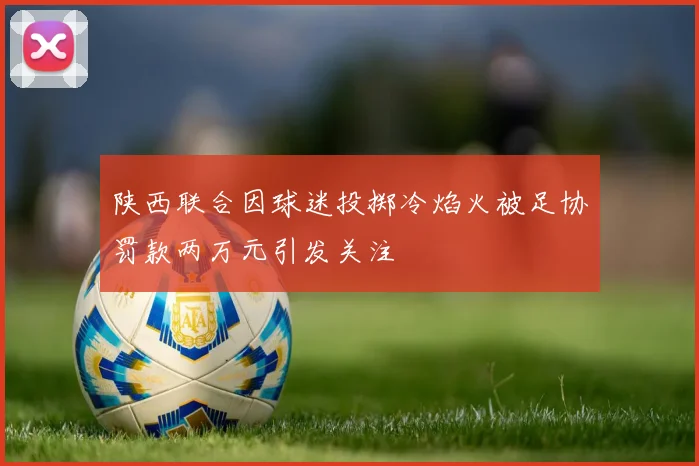 陕西联合因球迷投掷冷焰火被足协罚款两万元引发关注