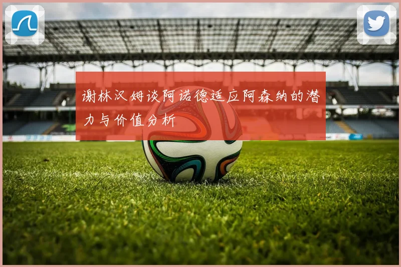 谢林汉姆谈阿诺德适应阿森纳的潜力与价值分析